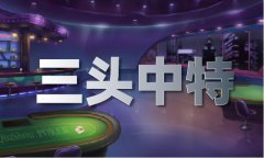 《天龙八部》十大高手名单（中国）IOS版